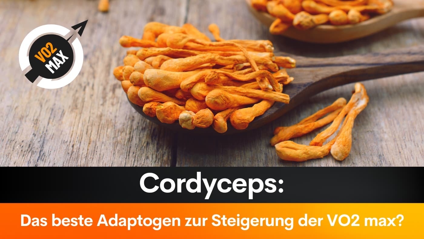 Cordyceps: Das beste Adaptogen zur Steigerung der VO2 max?