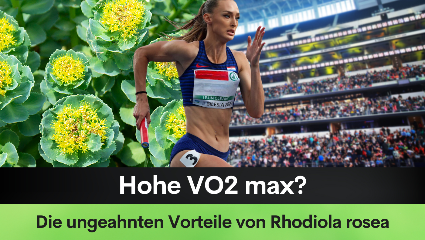 Hohe VO2 max? Die ungeahnten Vorteile von Rhodiola rosea