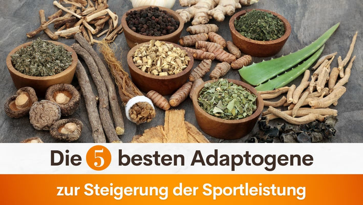 Die 5 besten Adaptogene zur Steigerung der Sportleistung