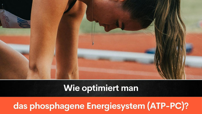 Wie optimiert man das phosphagene Energiesystem (ATP-PC)?