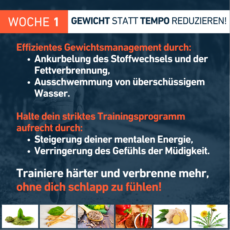 Fusion_Fettverbrennung_VO2_max_4Endurance_Pro