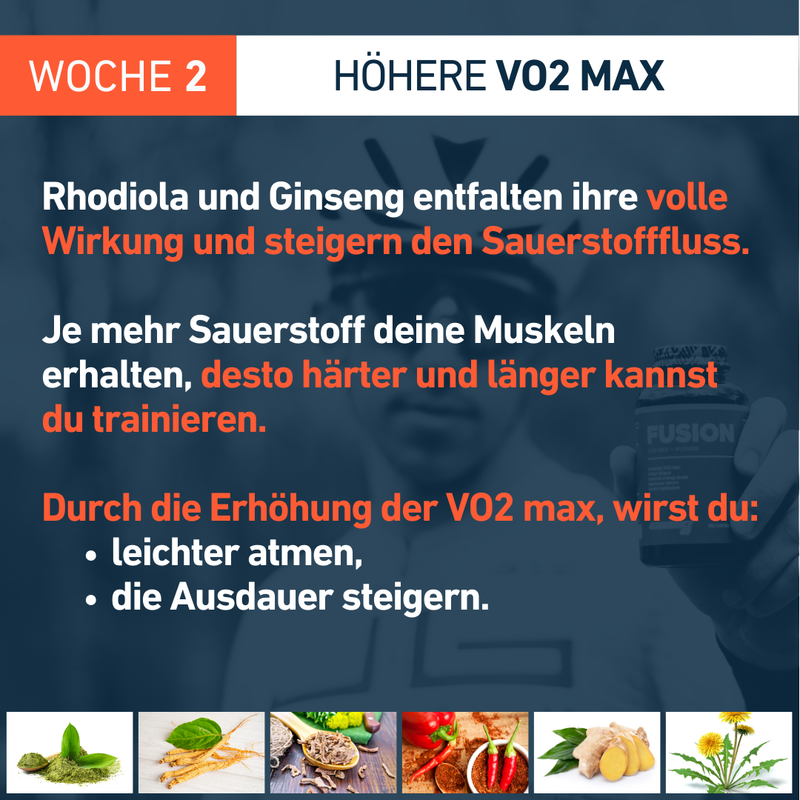 Fusion_Fettverbrennung_VO2_max_4Endurance_Pro